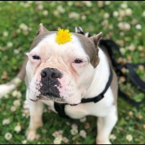 Meet your Posher, Rocio